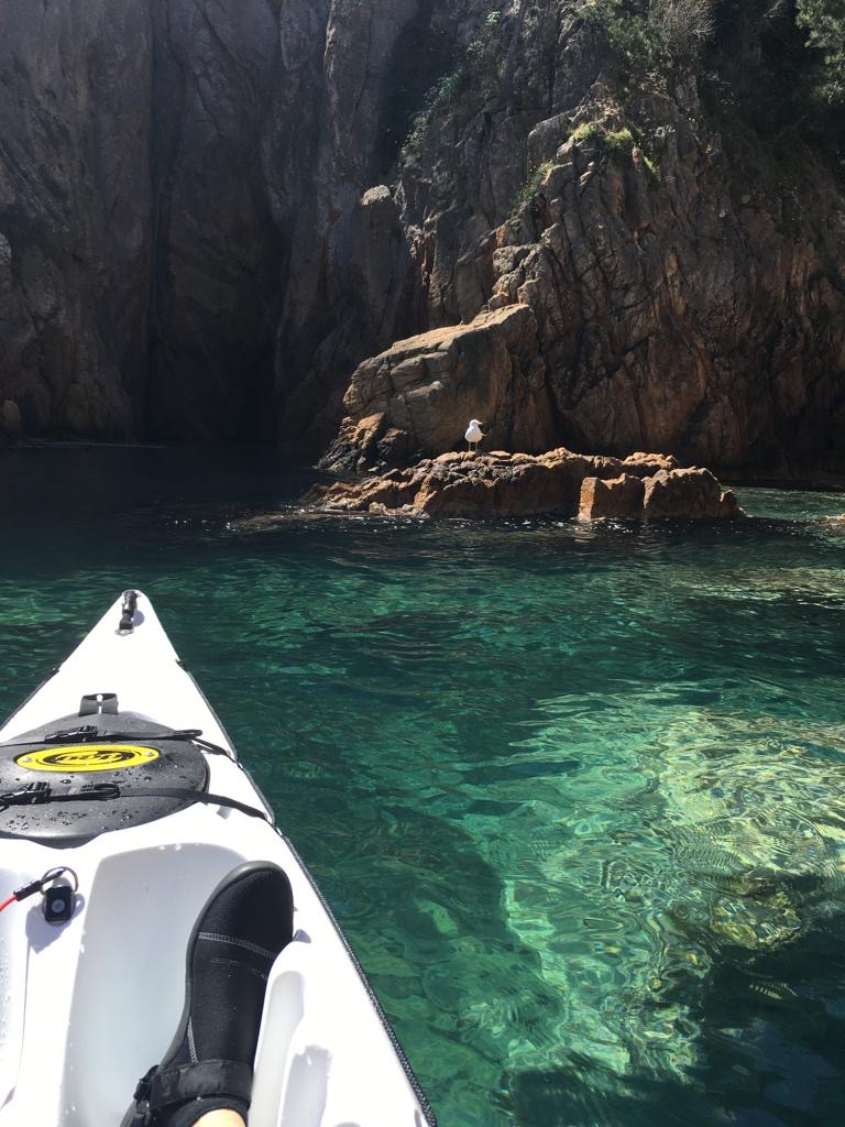 image kayak can gavarres